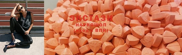 стаф Касимов